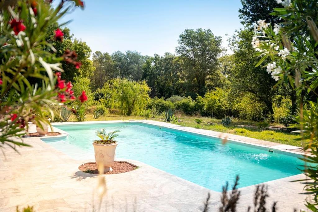 Rhea * Roquebrune-sur-Argens